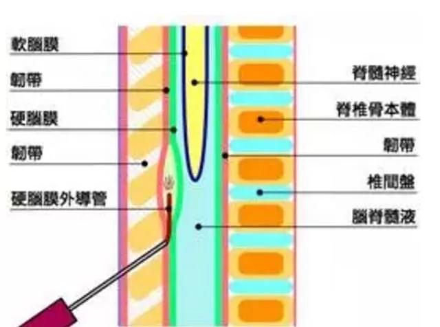 微信圖片_20190905090607.jpg